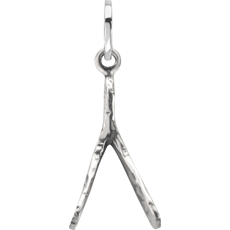 Rebel & Rose RR-PD015-S Wish Me Luck Small zilveren hanger