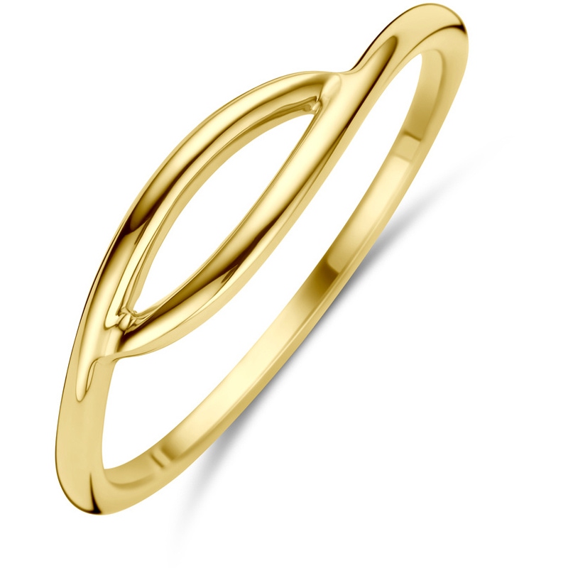 ring 14K geelgoud