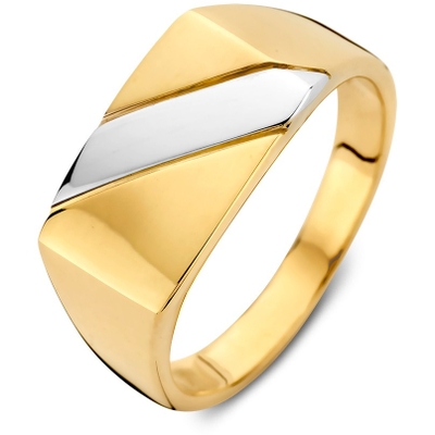 RC401164 14k bicolor gouden ring 10 mm