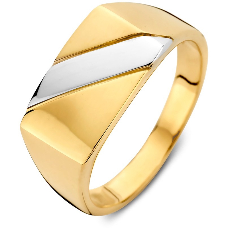Ring bicolor 