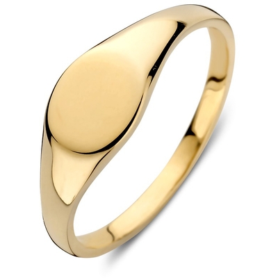 RE108233 14k gouden zegelring 68 mm