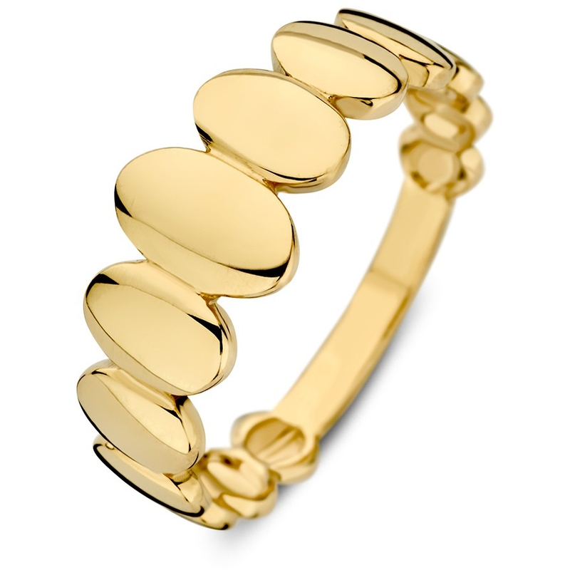 Ring geelgoud 