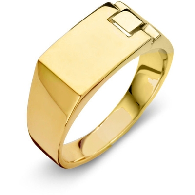 RF101167 14k gouden ring 9 mm