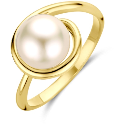 ring parel 14K geelgoud