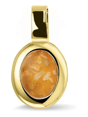 See You 134 S 14k gouden ashanger met hars