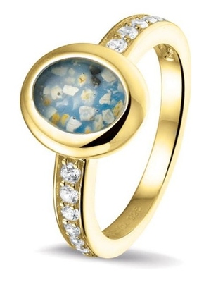 See You RG 036 14k gouden asring met zirkonia en hars