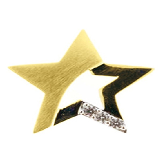 See You RL 002 14k gouden ashanger ster met zirkonia en hars