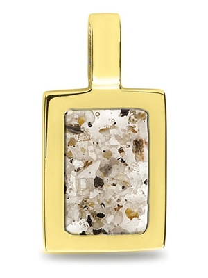 See You RL 008 T 14k gouden ashanger met hars