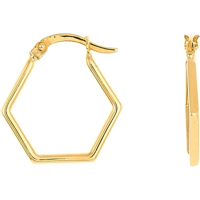 Swing Jewels SWEE10040-Y Classic 14k gouden oorhangers zeshoek