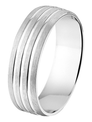 Treasure Collection TC-49063 Zilveren herenring 6 mm