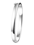 Treasure Collection TC-23015 Massieve zilveren slavenarmband 6 mm