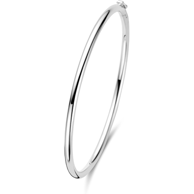 bangle scharnier ronde buis 3 x 60 mm zilver gerhodineerd