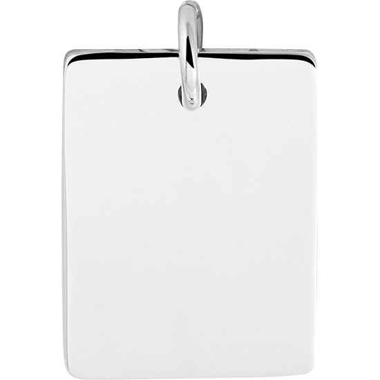 884604 Zilveren graveerhanger 21 mm