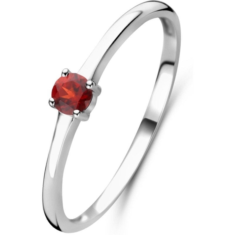 884366 Zilveren ring met geboortesteen januari granaat
