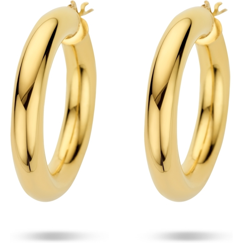 Treasure Collection R150 Goudkleurige oorringen 6 mm