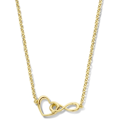 collier hart en infinity 42 3 cm 3 micron zilver verguld geel