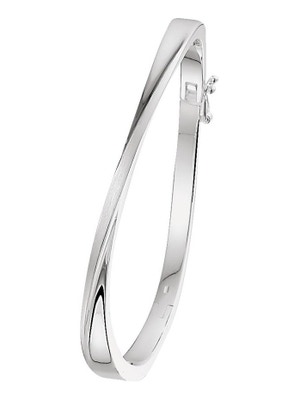 bangle scharnier polimat 55 x 60 mm zilver gerhodineerd