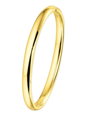 bangle scharnier ovale buis 6 x 60 mm 14K geelgoud