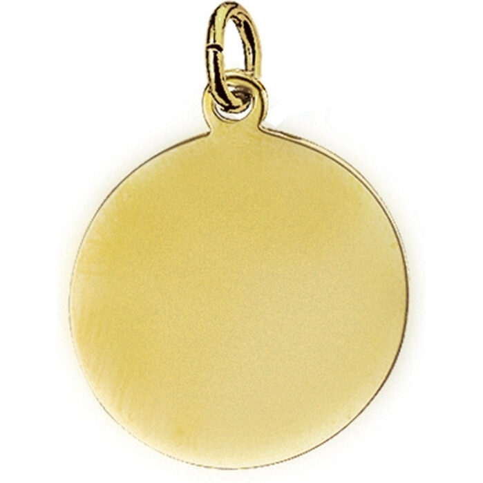 Treasure Collection TC-882422 14k gouden graveerhanger 18 mm