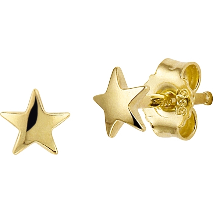 885663 14k gouden oorknopjes ster 4,5 mm
