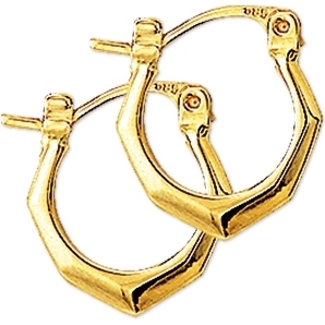 oorringen lapide 14K geelgoud