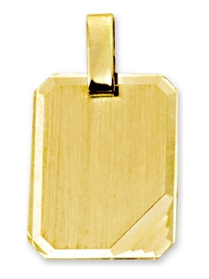 graveerhanger mat gediamanteerd 14K geelgoud