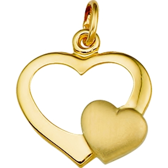 884885 14k gouden hanger hartje 16 mm