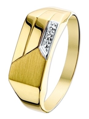 Treasure Collection TC-36656 14 karaat gouden herenring met 0,005 ct diamant