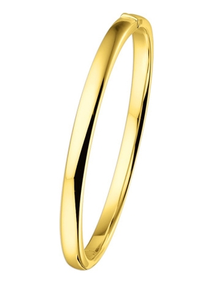 bangle scharnier vlakke buis 5 x 60 mm 14K geelgoud