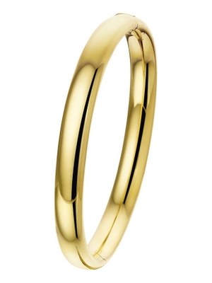 bangle scharnier ovale buis 8 x 60 mm 14K geelgoud