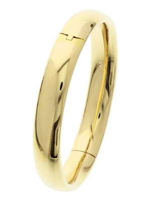 bangle scharnier ovale buis 10 x 60 mm 14K geelgoud