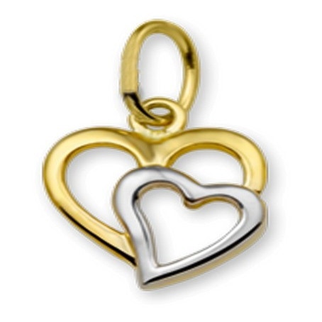Treasure Collection TC-42899 14 karaat bicolor gouden hanger hart