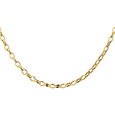 collier anker 31 mm 43 cm 14K geelgoud