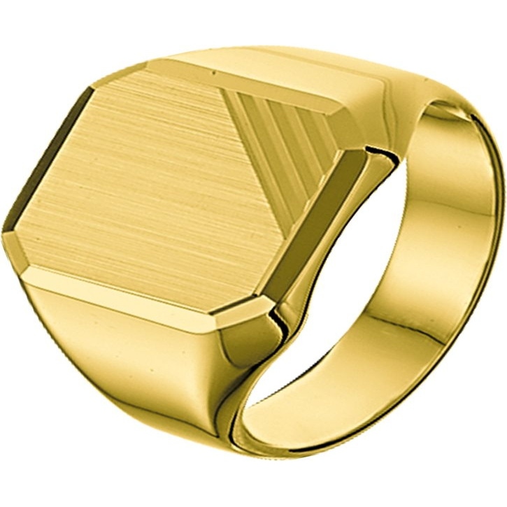 Treasure Collection TC-881580 14 karaat gouden zegelring 14 mm