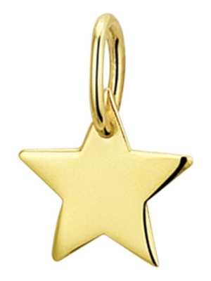 hanger ster 14K geelgoud