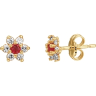 oorknoppen robijn en zirkonia halo 14K geelgoud