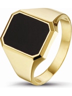 Treasure Collection TC-47852 14 karaat gouden zegelring met onyx E055