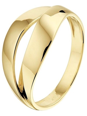 Treasure Collection L202 14 karaat gouden ring 9,5 mm
