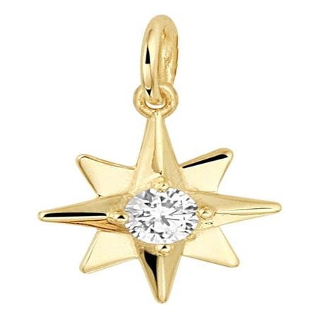 Treasure Collection TC-881818 14 karaat gouden hanger poolster met zirkonia 15 mm