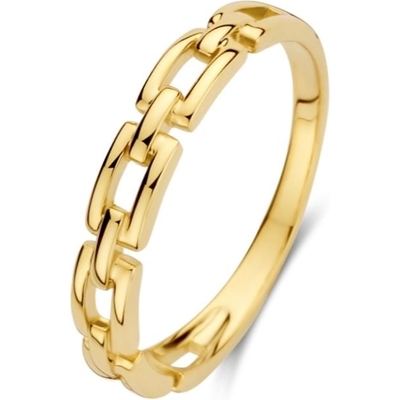 Treasure Collection 882596 14k gouden ring met schakelmotief