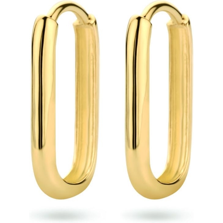 Treasure Collection Q485 14 karaat gouden klapcreolen 16 mm