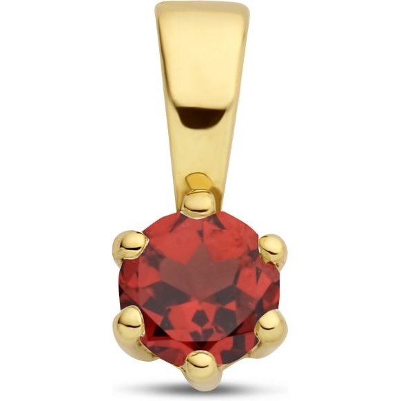 Treasure Collection Q277 14k gouden hanger geboortesteen granaat januari