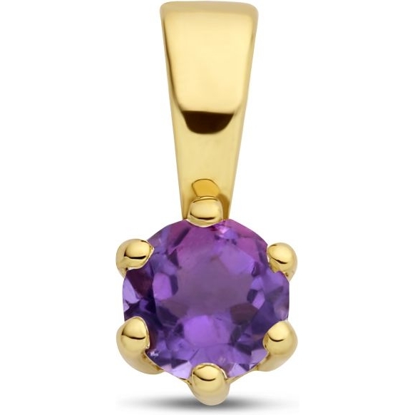 Treasure Collection Q278 14k gouden hanger geboortesteen amethist februari