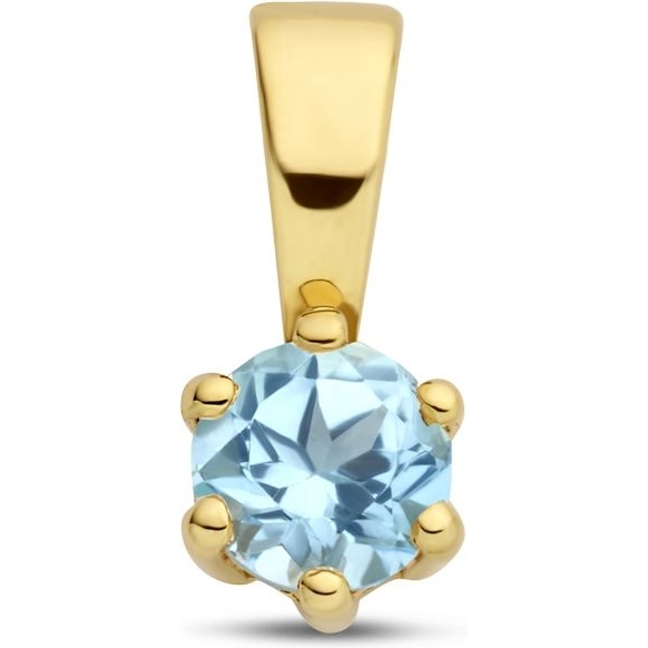 Treasure Collection Q288 14k gouden hanger geboortesteen topaas december