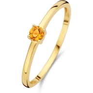 Treasure Collection R219 14k gouden ring met geboortesteen november