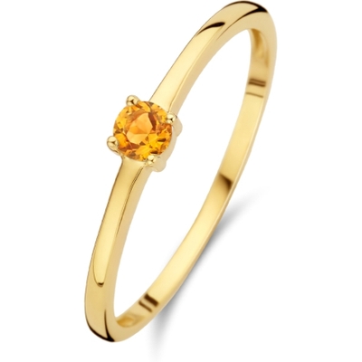 Treasure Collection R219 14k gouden ring met geboortesteen november