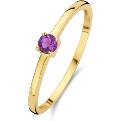Treasure Collection R219 14k gouden ring met geboortesteen februari