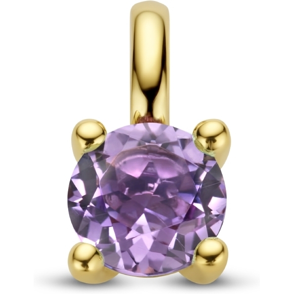 884930 14k gouden hanger met amethist 9,5 mm