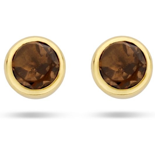 Treasure Collection 883063 14k gouden oorknopjes met rookkwarts
