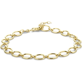 14k gouden schakelarmband